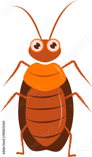 Cockroach illustration. Cockroach life cycle.