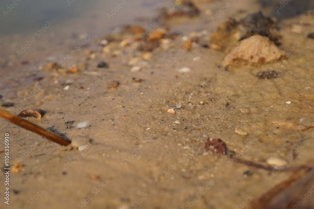 a serene riverbank scene, showing smooth pebbles and soft earth alongside shimmering water, with gentle sunlight casting a warm glow over the natural landscape. a serene riverbank scene, showing smooth pebbles and soft earth alongside shimmering water, with gentle sunlight casting a warm glow over the natural landscape.