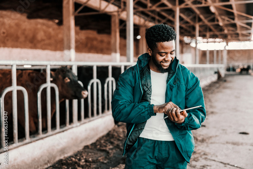 Cuadro en lienzo Modern black cow breeder standing at barn and scrolling on tablet