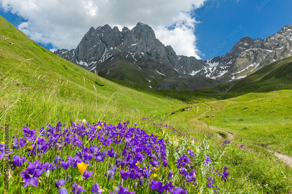 Fototapeta premium Hiking trail to Chaukhi mount from the village of Juta. Breathtaking landscape with flowers.