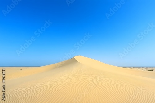 Simpson desert dunes