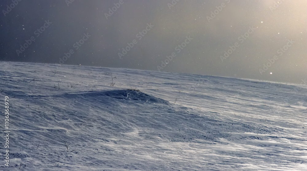 Republic of Komi tundra landscape. Coal, gas, oil and Gulag prison camps are located on this land Republic of Komi tundra landscape. Coal, gas, oil and Gulag prison camps are located on this land