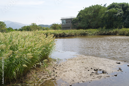 Lake of Hong Kong wetlands on a sunny day with a wooden bird lookout in the distance photo