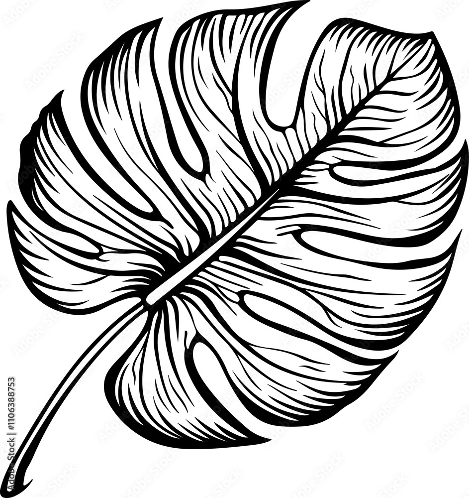 Obraz premium Monstera Leaf Outline Illustration