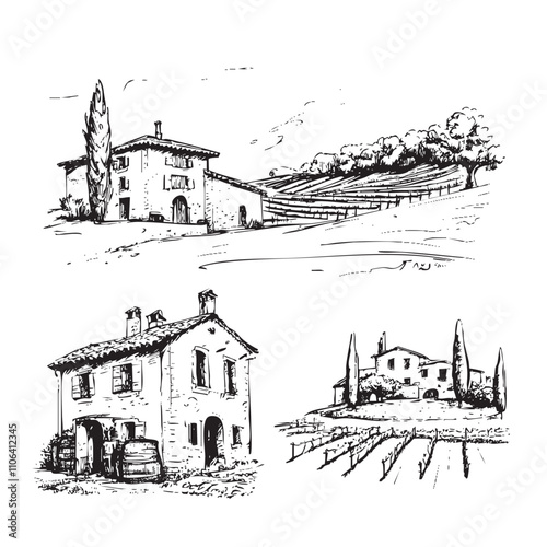 Vineyards landscapes sketched abstract digital illustration