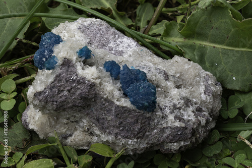 Vibrant blue cavansite crystals on a contrasting white matrix in natural setting photo