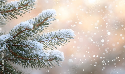 pine branches dusted with fresh snowflakes, with a soft bokeh background