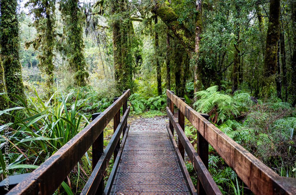 Wooden walking bridge in the forest hiking new zealand Wooden walking bridge in the forest hiking new zealand