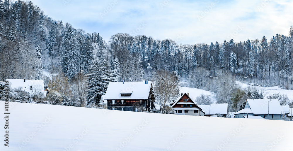 Winter wonderland in Stallikon Switzerland, picturesque snowy forest near Zurich