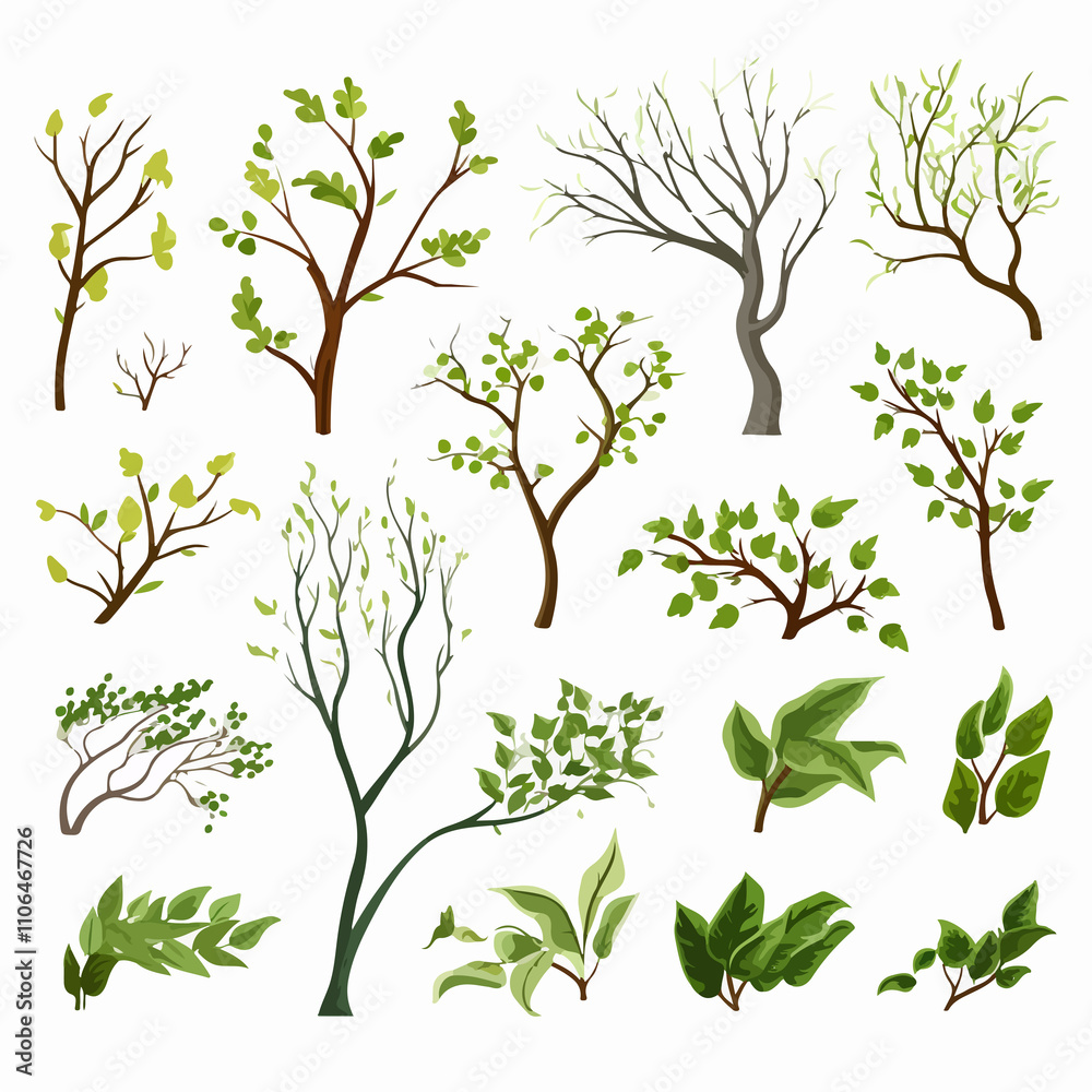 Variety of Isolated Tree Branches for Design Projects Variety of Isolated Tree Branches for Design Projects