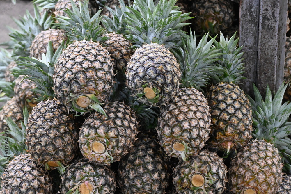 Ripe pineapple stacked and ready for sale at a fruit stand in the Philippines in a horizontal format_20241020_DSC_1531. Ripe pineapple stacked and ready for sale at a fruit stand in the Philippines in a horizontal format_20241020_DSC_1531.