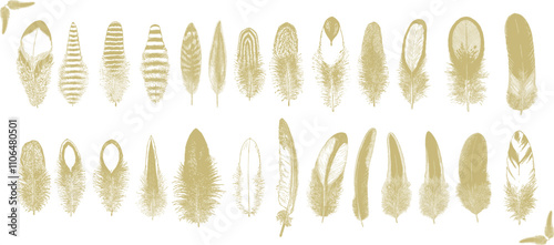 Obraz na płótnie Vintage Feathers, set of feathers in a hand-drawn style. Vector Illustration Featuring Various Feather Shapes for Decorative Design. w salonie