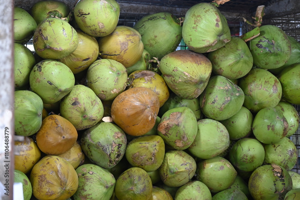 Young coconut as seen at a fruit stand in the Philippines, stacked in a pile_20241020_DSC_1541. Young coconut as seen at a fruit stand in the Philippines, stacked in a pile_20241020_DSC_1541.