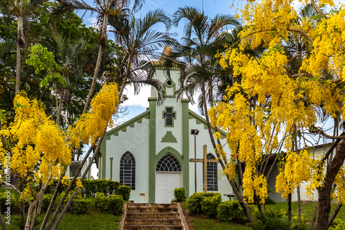 Marilia, Sao Paulo, Brazil. November 20, 2024. Santa Isabel Church, with flowering imperial cassia or yellow acacia trees. Amadeu Amaral District photo