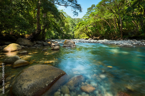 clear river flow with tropical trees on the right and left