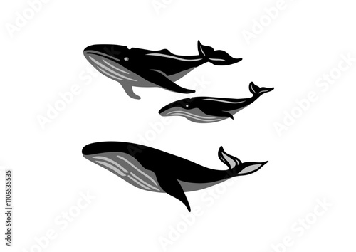 silhouette of a whale,paus