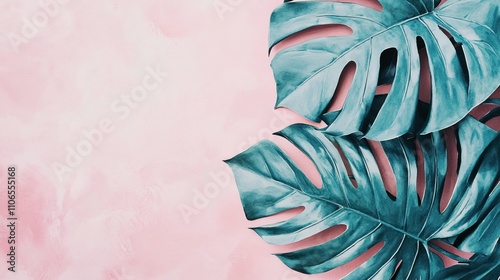 Teal Monstera Deliciosa Leaves on a Pink Background