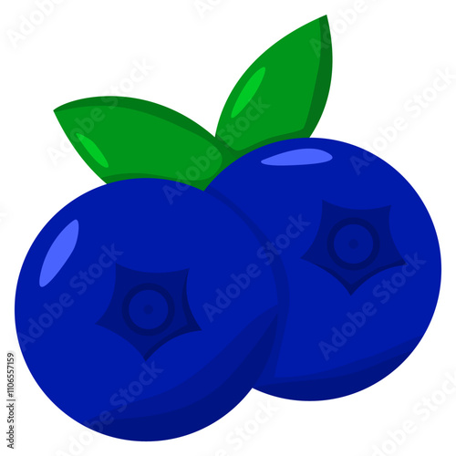 blueberry fruit illustration