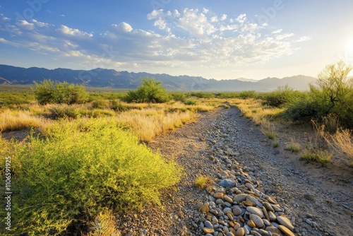 Water resource management technologies enhance drought resilience, support arid landscapes, filter soft sunlight, and foster a sense of optimism. photo