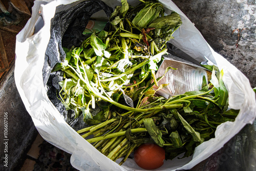 Close-up of a white plastic bag containing discarded wilted greens and a single egg. Looks like kitchen waste. Discarded Greens and Egg in Plastic Bag. photo