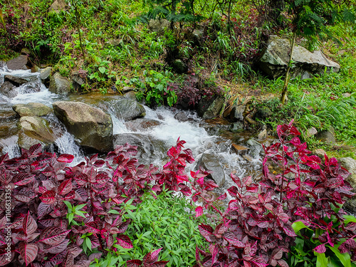 Cijalu waterfalls or Curug Cijalu of Subang west Java Indonesia. Beautiful waterfalls on the mountain forest.  photo