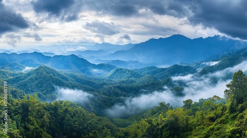 Discover the stunning Maehongson region, where lush slopes meet dramatic clouds in untouched wilderness.