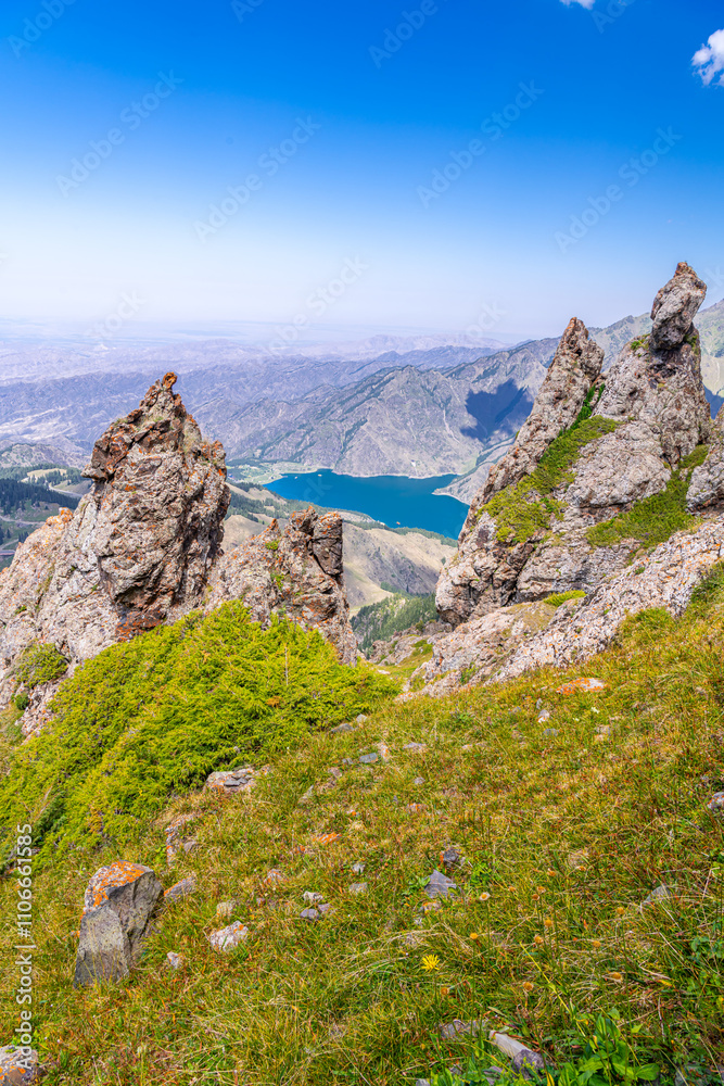 The flower on the foreground of the Heaven Lake of Tian Shan, a World Heritage site in Xinjiang The flower on the foreground of the Heaven Lake of Tian Shan, a World Heritage site in Xinjiang