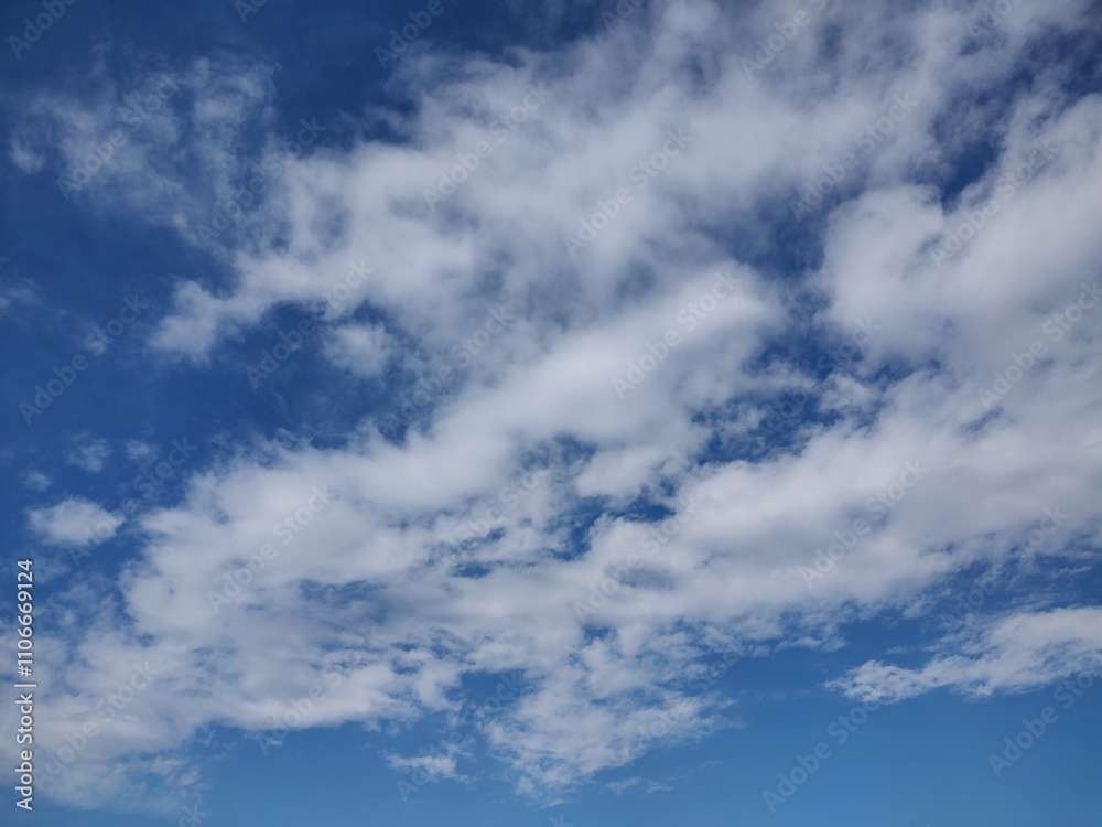 Fototapeta premium 東京のそら(24.11.29)