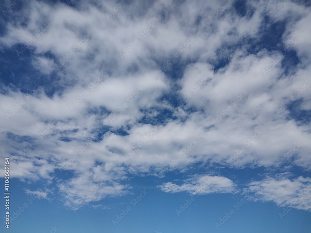 Obraz premium 東京のそら(24.11.29)