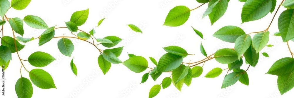 Fototapeta premium Greenery leaves swirling in a dynamic movement around a central copy space on a white background, created through AI generative technology, white background, leaves