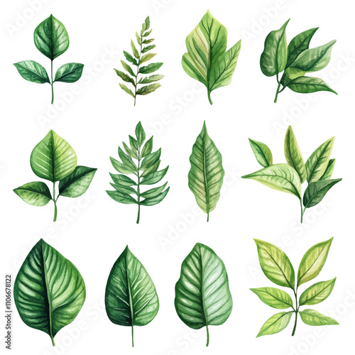 vector set of green leaf watercolor, perfect for invitations, greeting cards, and artistic projects