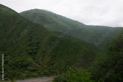 Pie de cerro cubierto de vegetación photo