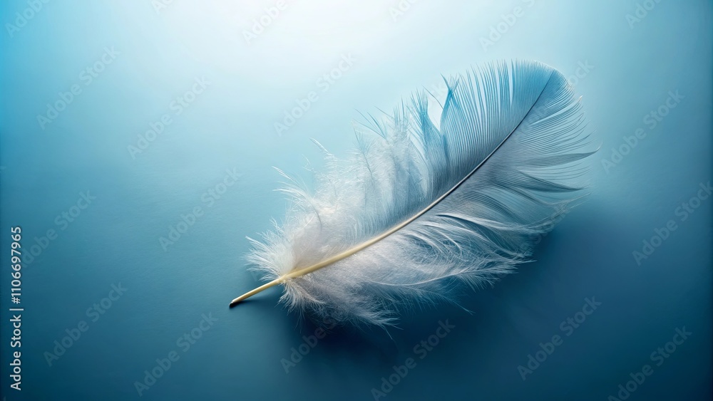 Obraz premium Single Delicate White Feather on a Smooth Teal Background
