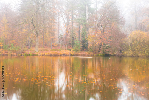 beautifull autumn colors at Landgoed Beekhuizen in The Netherlands.