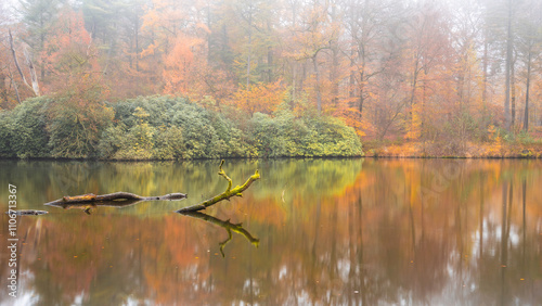 beautifull autumn colors at Landgoed Beekhuizen in The Netherlands. photo