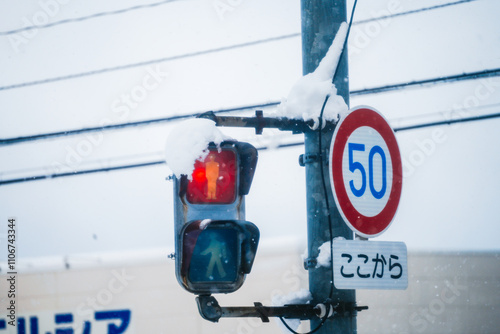 Traffic Light in Snowy Winter Scene
