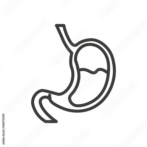 Stomach thin liner icon vector.