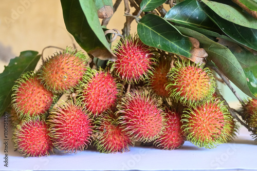 asian fruit rambutan on the plain background. Rambutan is tropical fruit and native Southeast Asia, juicy and sweet taste photo