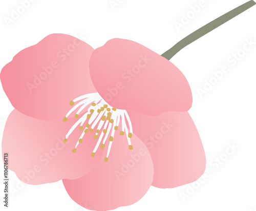 梅の花のベクターイラスト
