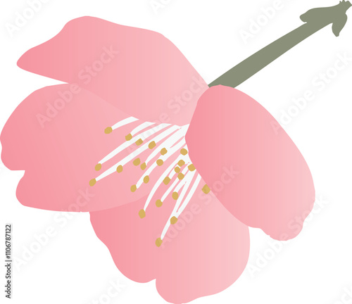梅の花のベクターイラスト