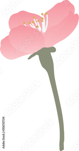 梅の花のベクターイラスト
