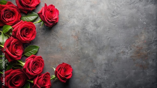 Fototapeta Naklejka Na Ścianę i Meble -  Top view of red rose blossoms on gray table. Rose flowers in bloom, red, roses, blossoms, flowers, bloom, table, gray, top view