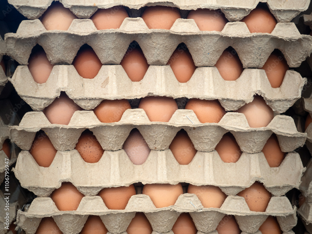 Organic Chicken Egg in tray or egg box contains high protein and important for health.