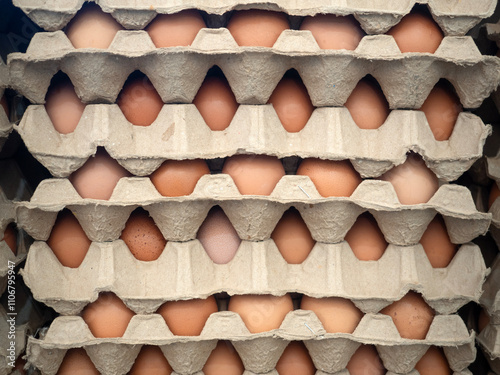 Obraz na płótnie Organic Chicken Egg in tray or egg box contains high protein and important for health. w salonie