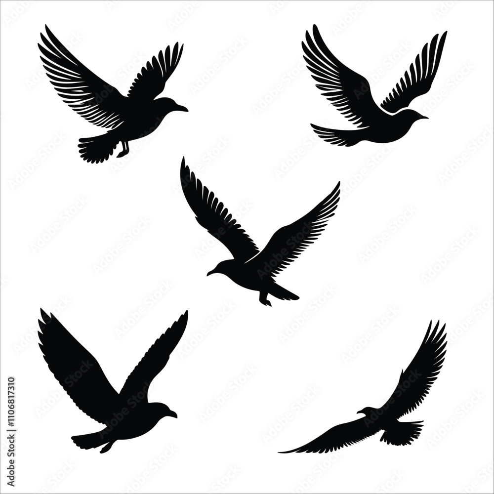 Vector Silhouette Of Sea Gull Vector Silhouette Of Sea Gull