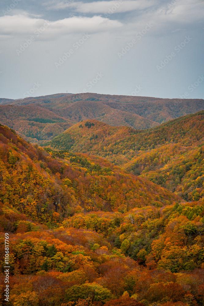 Hakoda mountain and Jogakura bridge view in Japan, famous travel destinations in autumn and fall season. Color of nature, season and leaf. An aerial view of maple tree, fantasy landscaped discovery. Hakoda mountain and Jogakura bridge view in Japan, famous travel destinations in autumn and fall season. Color of nature, season and leaf. An aerial view of maple tree, fantasy landscaped discovery.