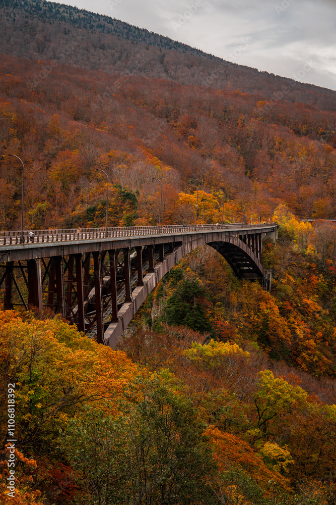 Hakoda mountain and Jogakura bridge view in Japan, famous travel destinations in autumn and fall season. Color of nature, season and leaf. An aerial view of maple tree, fantasy landscaped discovery. Hakoda mountain and Jogakura bridge view in Japan, famous travel destinations in autumn and fall season. Color of nature, season and leaf. An aerial view of maple tree, fantasy landscaped discovery.