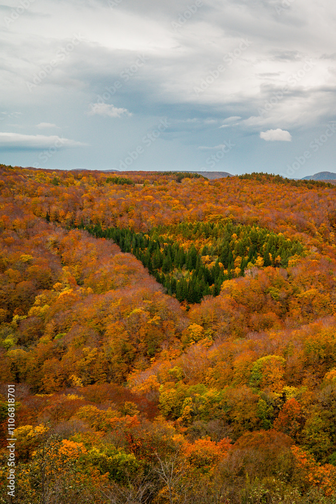 Hakoda mountain and Jogakura bridge view in Japan, famous travel destinations in autumn and fall season. Color of nature, season and leaf. An aerial view of maple tree, fantasy landscaped discovery. Hakoda mountain and Jogakura bridge view in Japan, famous travel destinations in autumn and fall season. Color of nature, season and leaf. An aerial view of maple tree, fantasy landscaped discovery.