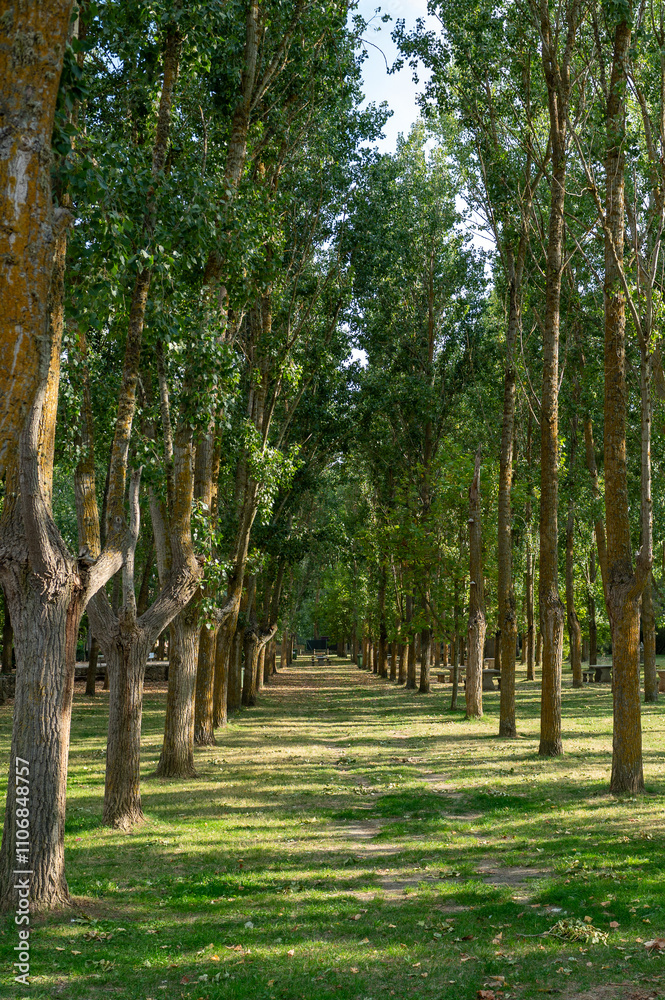 El Plant Parc in the city of Carrion de los Condes in Palencia, Spain in 2024.