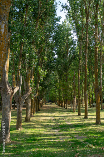 El Plant Parc in the city of Carrion de los Condes in Palencia, Spain in 2024.